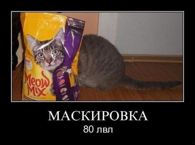 Склад баянов