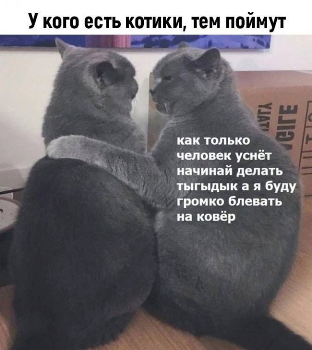 Картинки для деградации 157 (разной степени свежести)