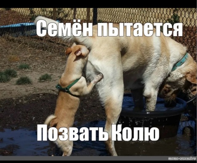 ну и  когда же