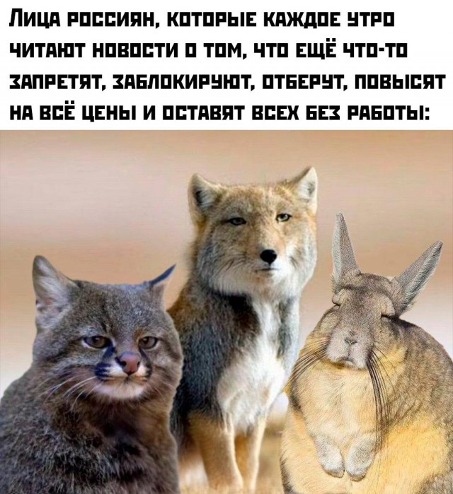 Мне тут доверили...