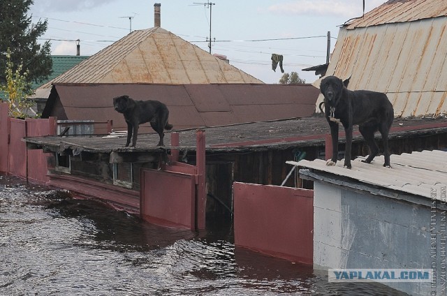 Всё, вода уходит! А вместе с нею печаль, разруха..