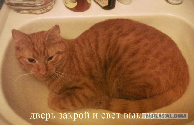Не про олимпиаду