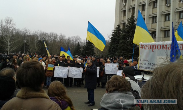 Митингующий Донецк