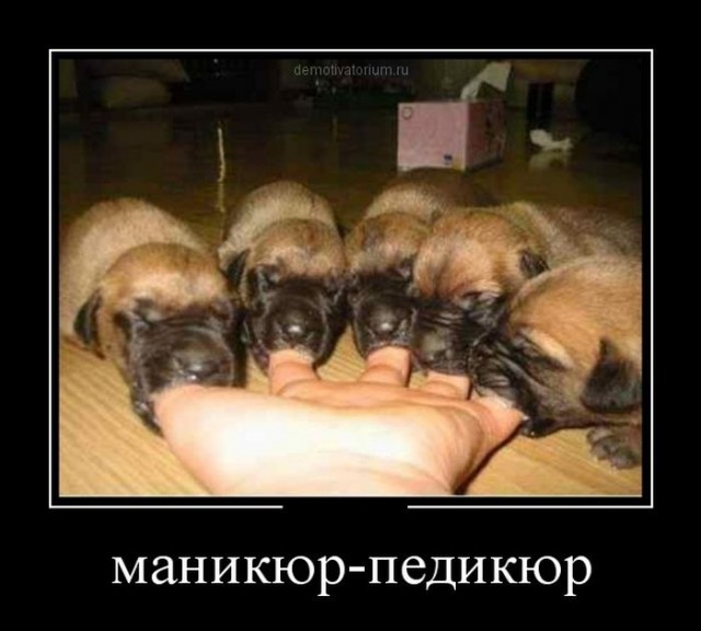 Комментарии из социальных сетей
