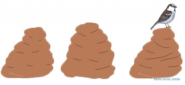 Воробьёвы горы.