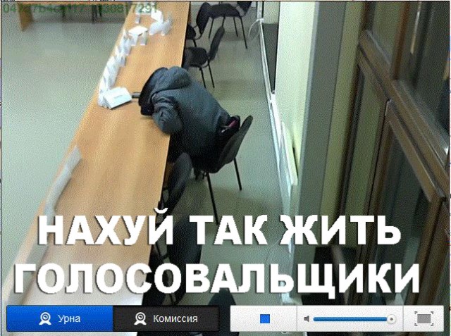Веб-камеры на избирательных участках