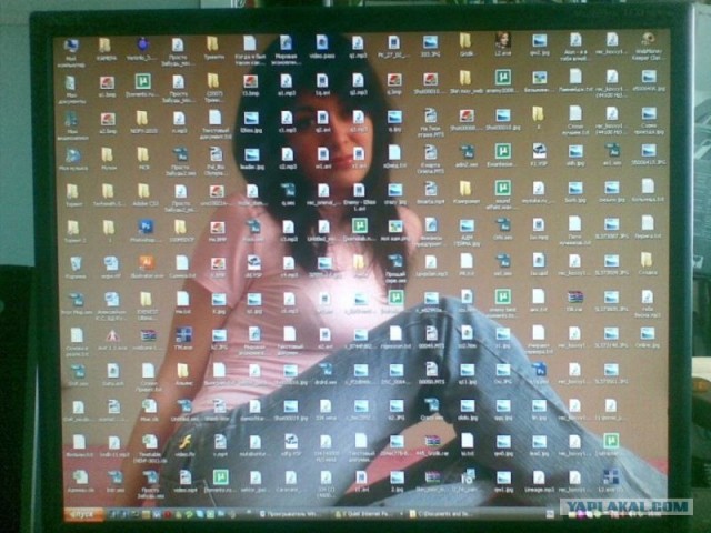 Коренное различие в... папках