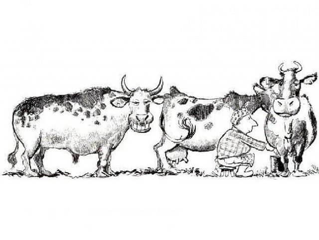 Спасение быка, который всю жизнь простоял на месте