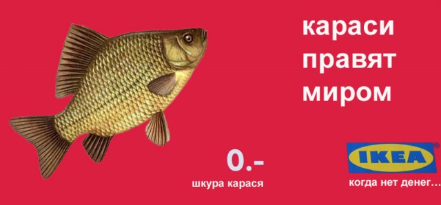 Фотожаба: Кучерявый подарок