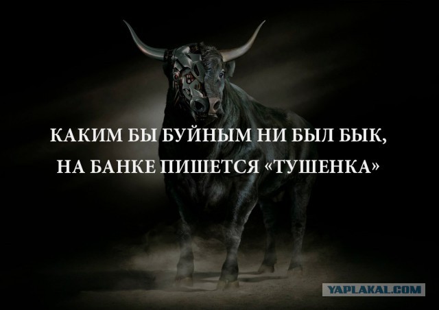 Футбол Чемпионат России 2016-17. Кубок России,РФПЛ,ФНЛ. Часть 9