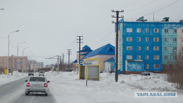 Новый Уренгой-Надым, покатушки  в выходные на День Оленевода