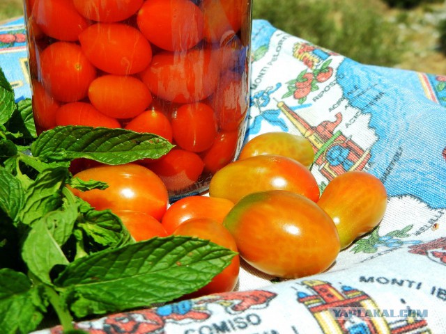 Сицилийская курица
