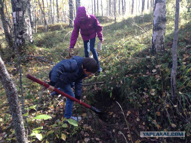 Как мы нашли клад или приключения экспатов в Карелии