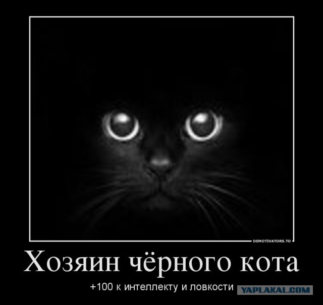 Когда наконец-то вычислил по IP, но что-то пошло не так...