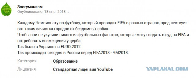 Горы трупов: В РФ перед ЧМ-2018 массово истребляют бездомных животных