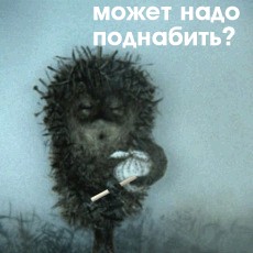 Подводно-Постовая Служба