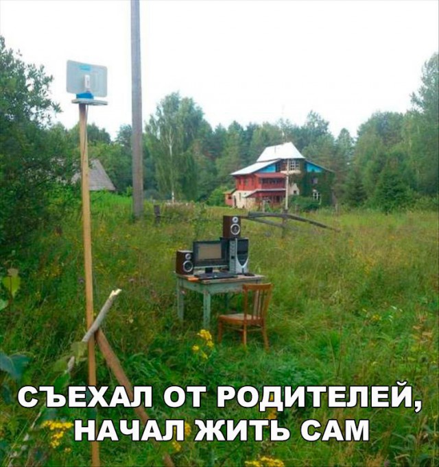 Прикольные картинки обо всём