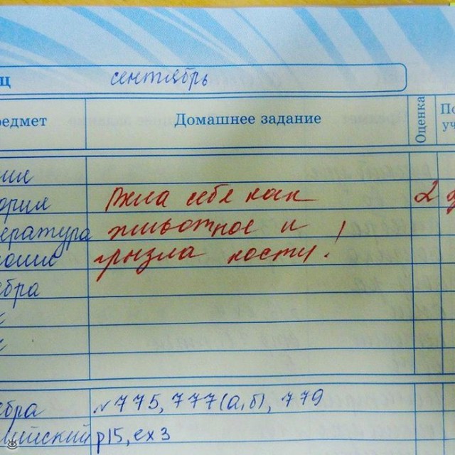 Записи в школьных дневниках и тетрадях