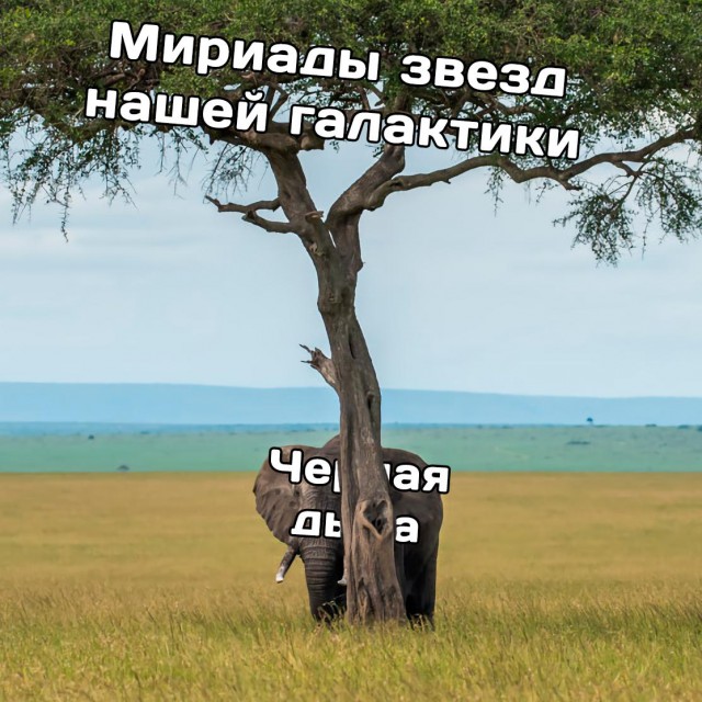 На следующей неделе мы увидим первый в истории горизонт событий Черной дыры