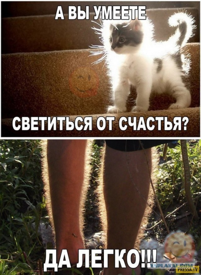 Бредзона 04.03.2020