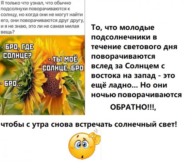 Бредзона 19.05.2020