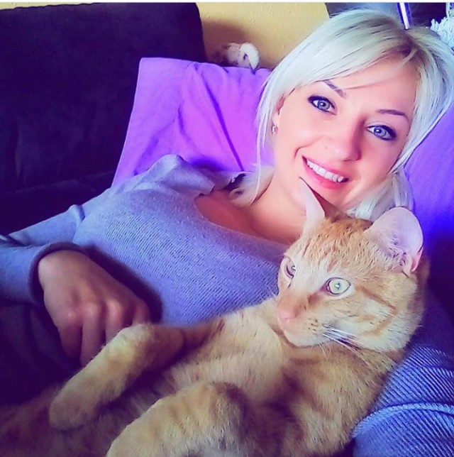 Котовторник.