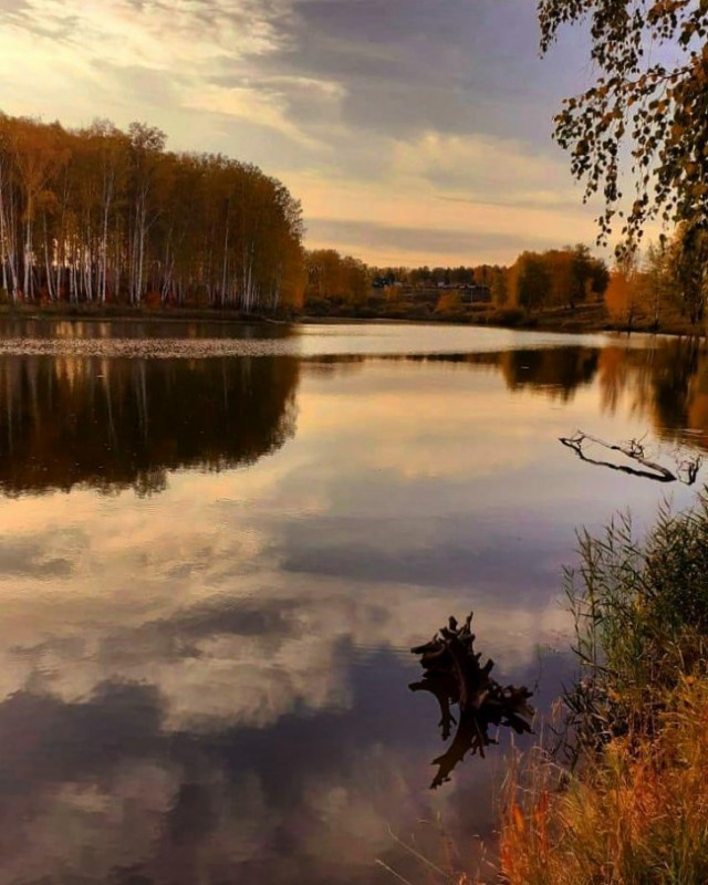 Новосибирская осень. Фотокарточки