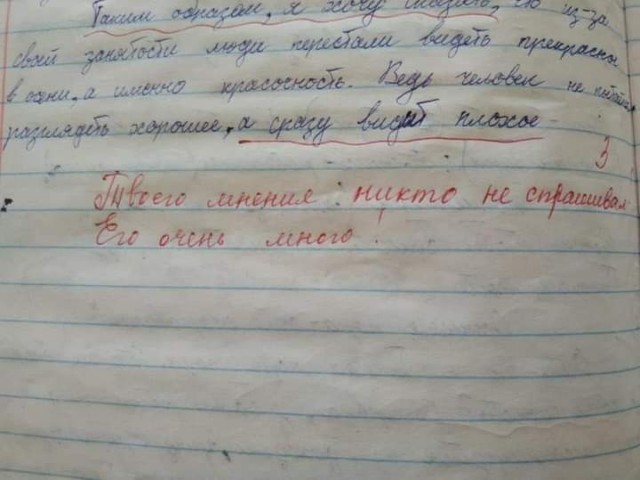 Школьнику за собственное мнение в сочинении по русскому снизили оценку