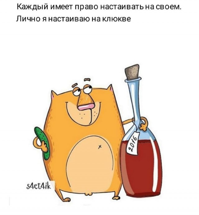 Так себе картинки 05.02.21