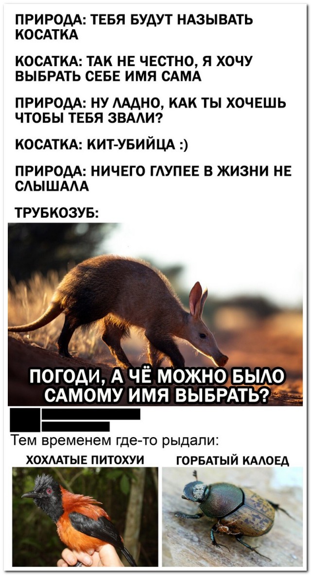 Забавные комментарии из социальных сетей 22.03.21