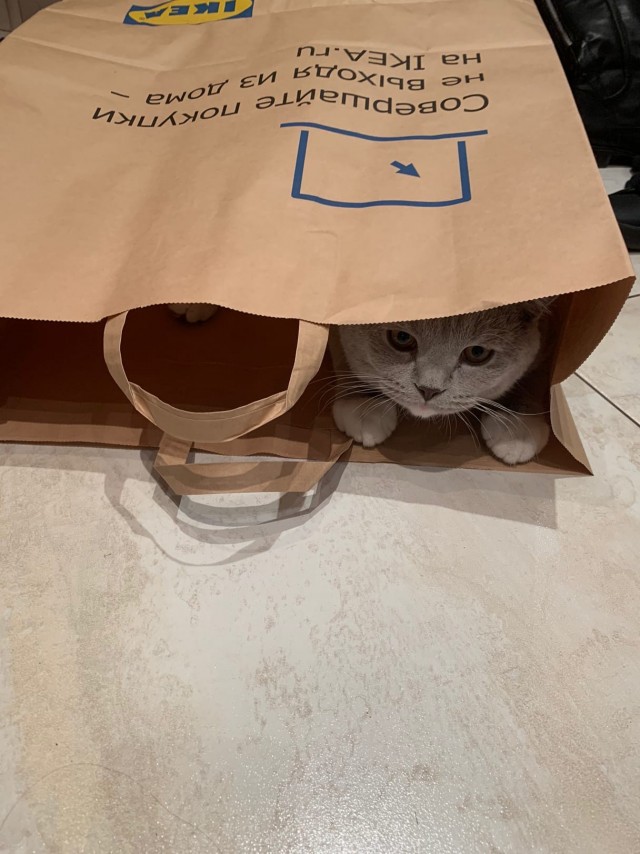 Которник