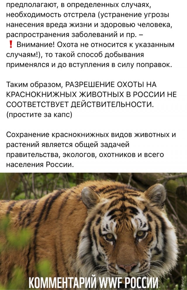 В России разрешили добычу животных, занесенных в Красную книгу