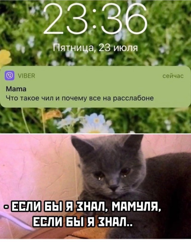 Прикольные и просто красивые картинки 11.08.2021