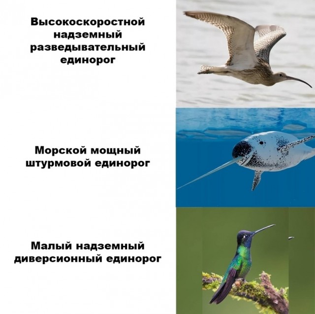 Картинки и мемы для настроения 18.10.2021