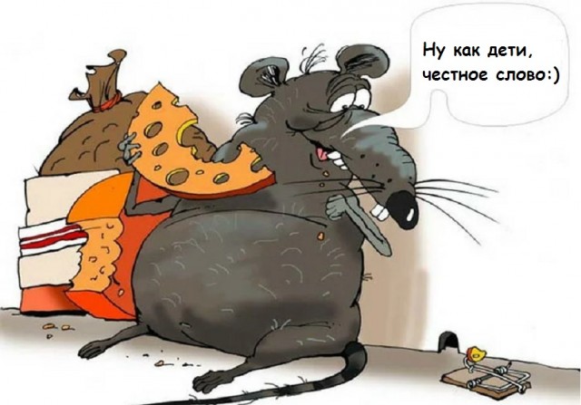 Поймать мыша не удалось