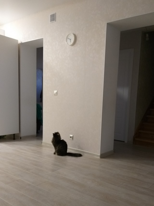 Вторник. Котэ. Пора