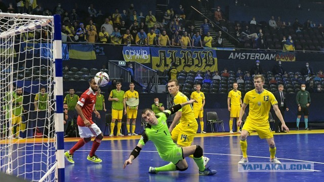 УЕФА открыл дело против украинской федерации мини-футбола.