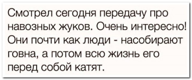 Забавные комментарии из социальных сетей (21.03.22)