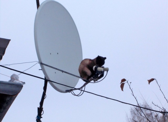 Короткие истории и случаи из жизни 26.03.22