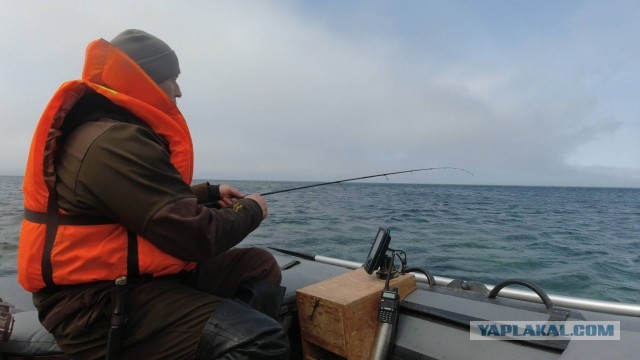 Кунашир. Море. Рыбалка