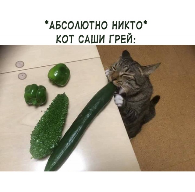 Картинки аморальные и всякие разные - 31