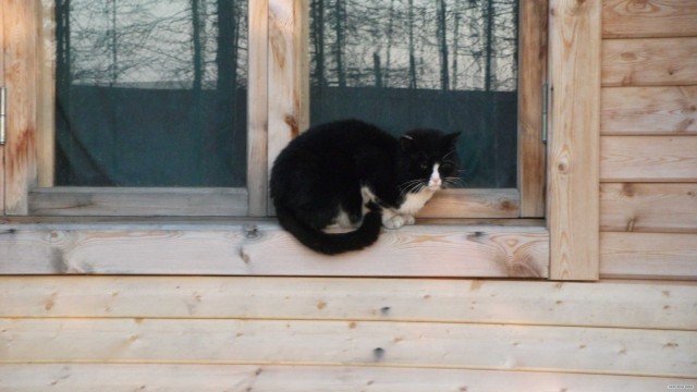 Дороги России:  автозимник.