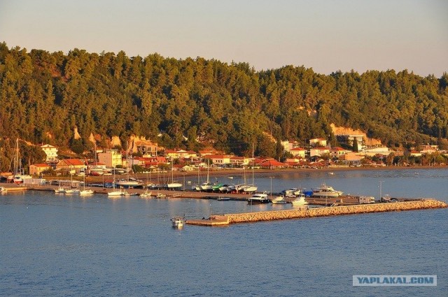 Любовь с первого взгляда