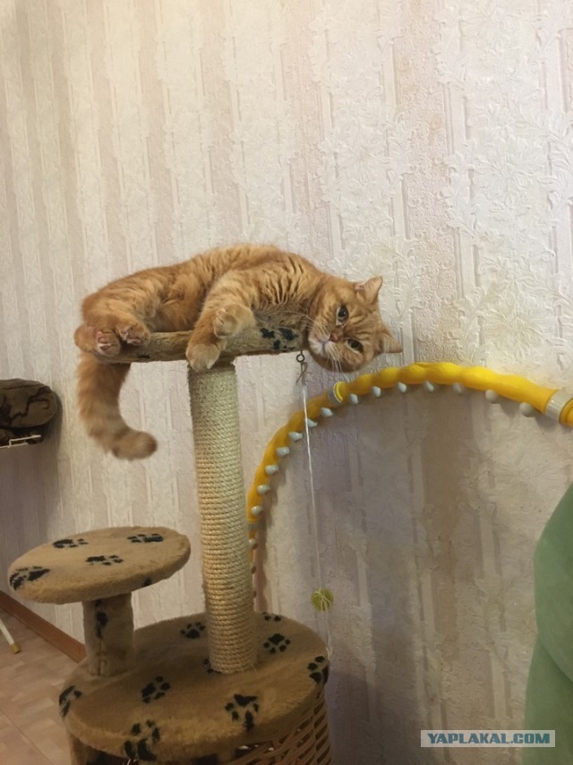 Нам семнадцать!