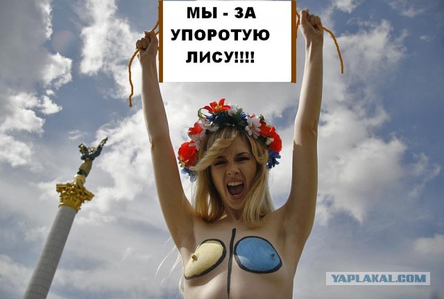 Маразм крепчал