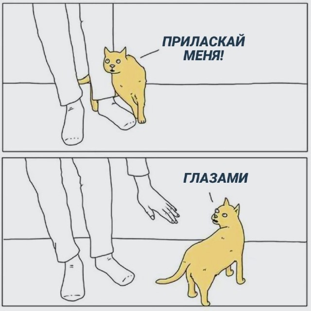 Картинки и мемы, всяко разно - 171