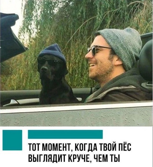 Так себе картинки 26.09.23