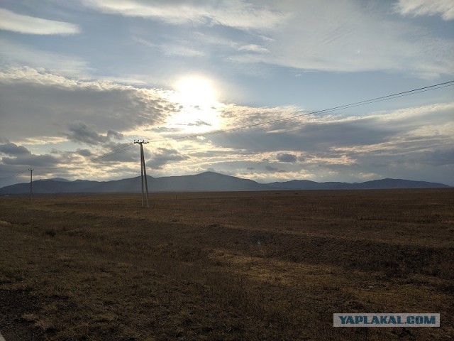 Красивые фото ЯПа