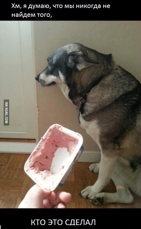 Розыск бесполезен. Дело можно закрывать