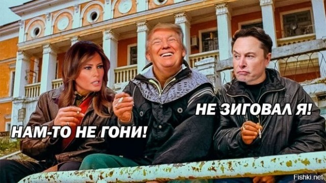 Илон Маск призвал немцев бороться за «великое будущее Германии»